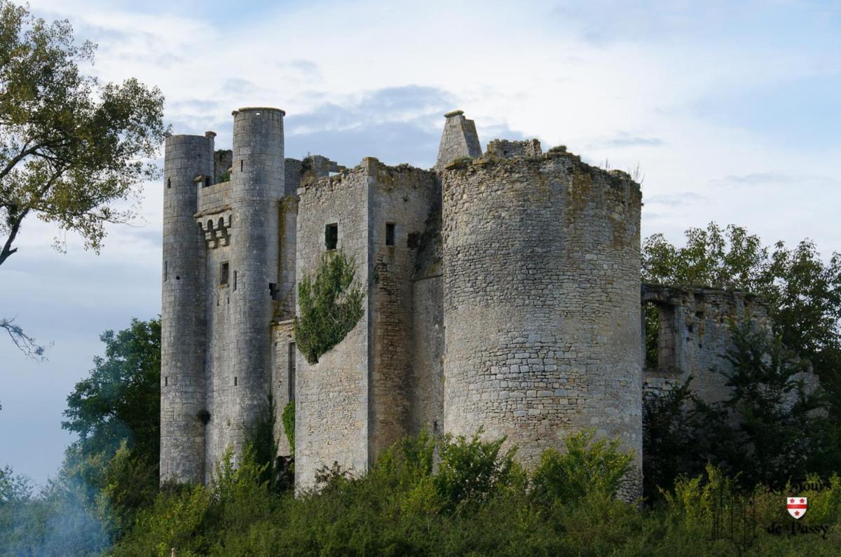Le Domaine Du Chateau Varennes-les-Narcy Exterior foto